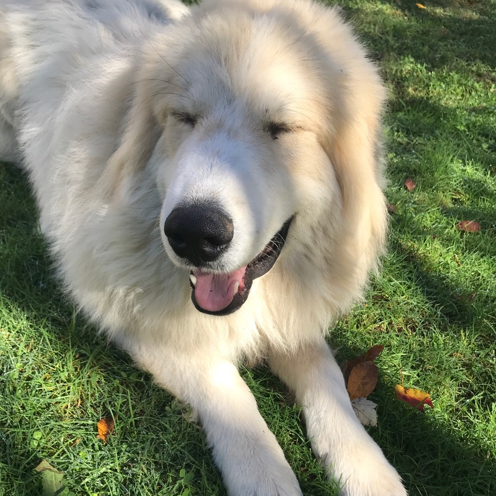 Meet your Posher, Jacqueline